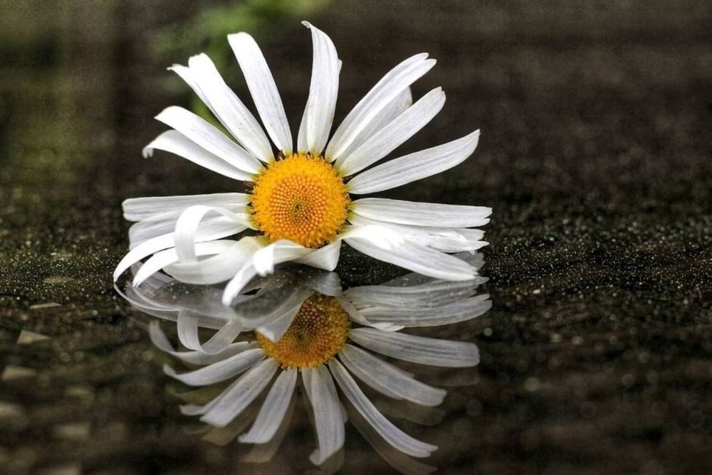 Photograph by Yury Khortau