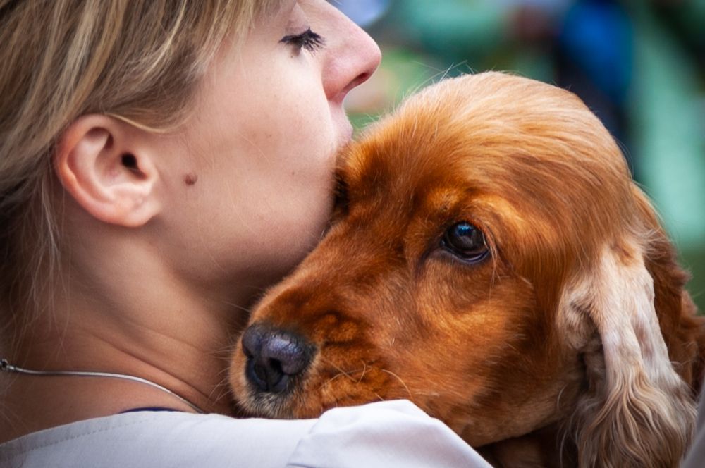 Photograph by Владимир Кривенко