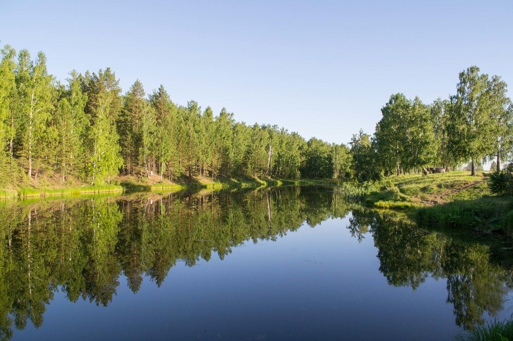 Photograph by Евгения Антропова