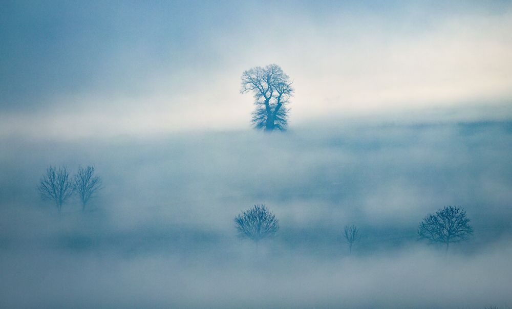 Photograph by Şaban Kılıçcı