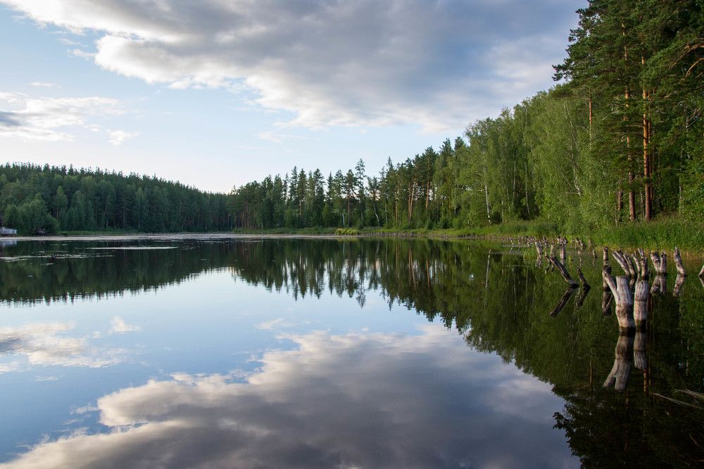 Photograph by Евгения Антропова