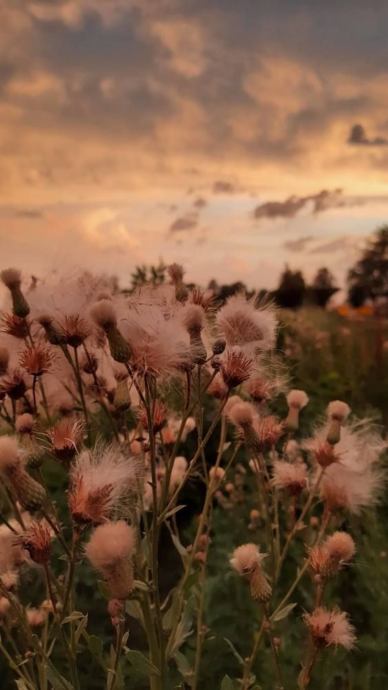 Photograph by Оксана Ставицкая