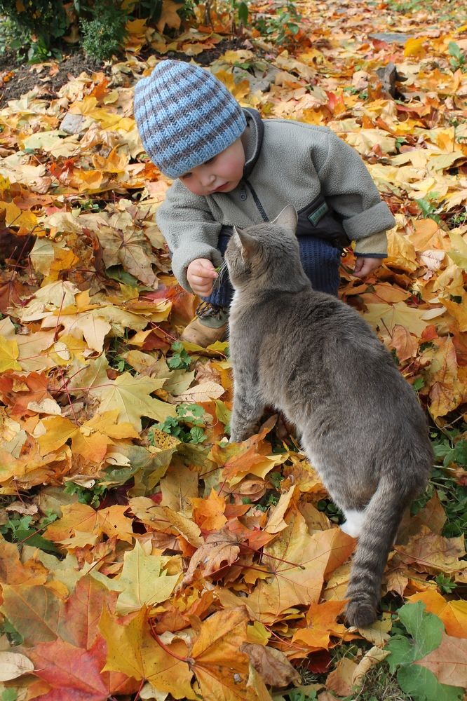 Photograph by Екатерина Хозяшева