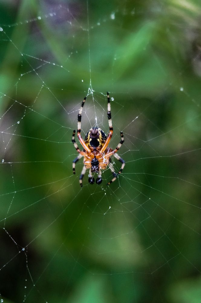 Photograph by Виктор Сёмушкин