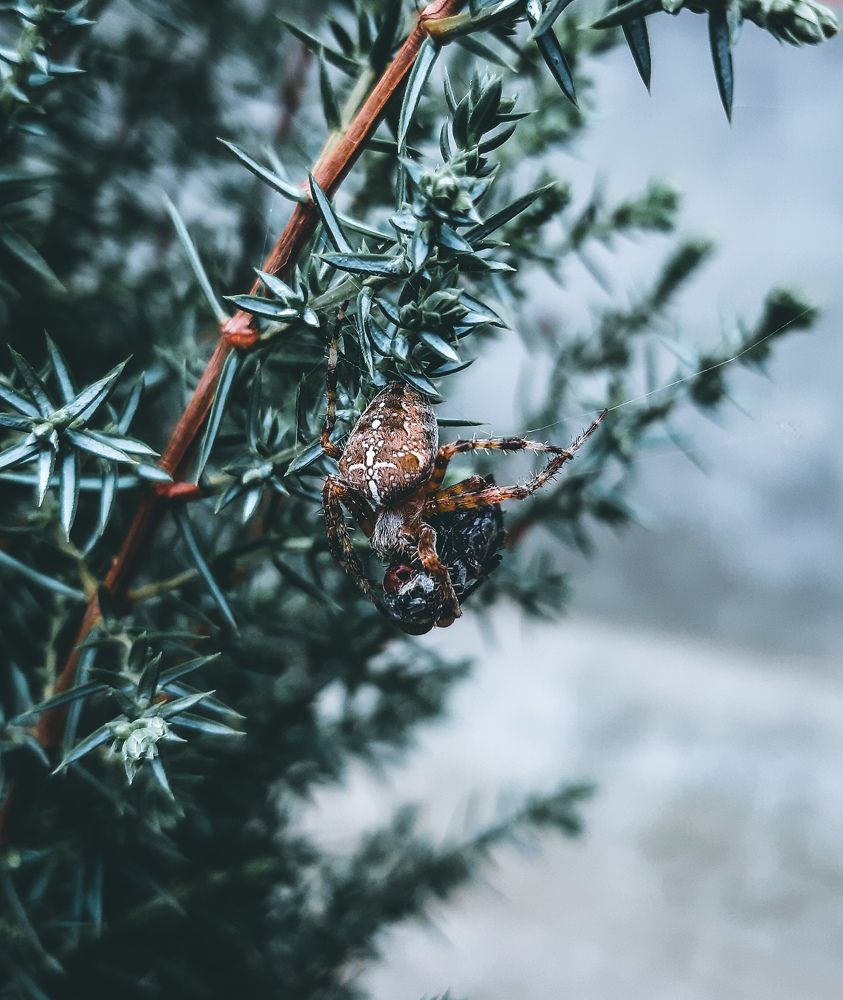 Photograph by Саламбек Ханкушов