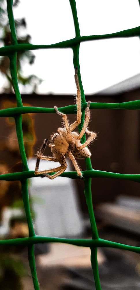 Photograph by Саламбек Ханкушов