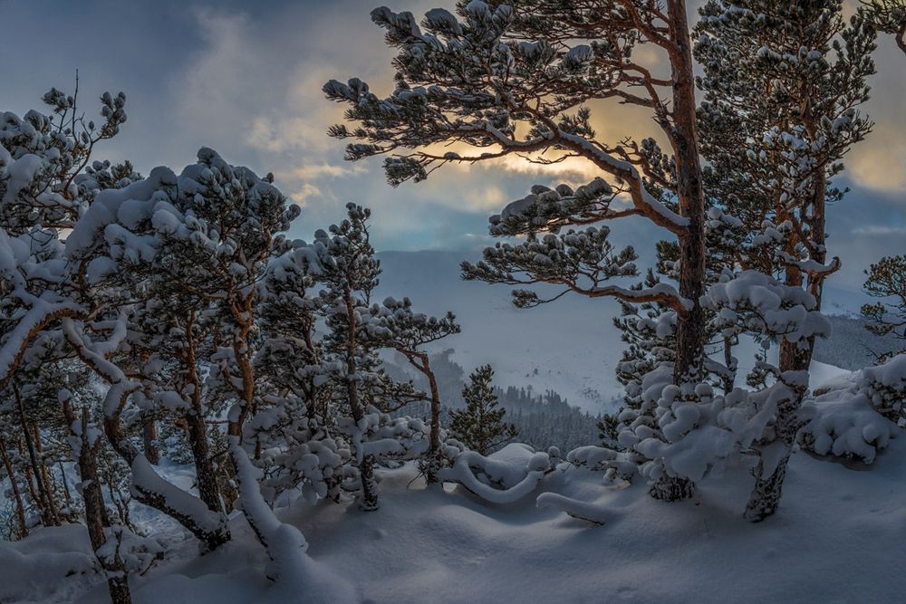 Photograph by Anatoly