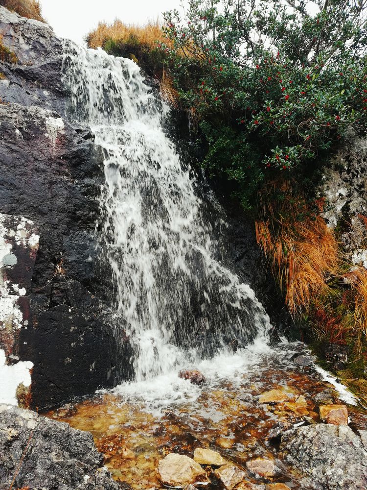 Photograph by Майя Коваль