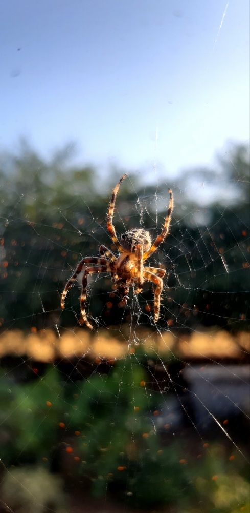 Photograph by Саламбек Ханкушов