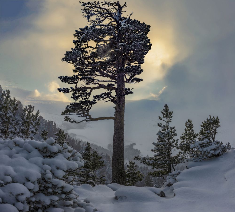 Photograph by Anatoly