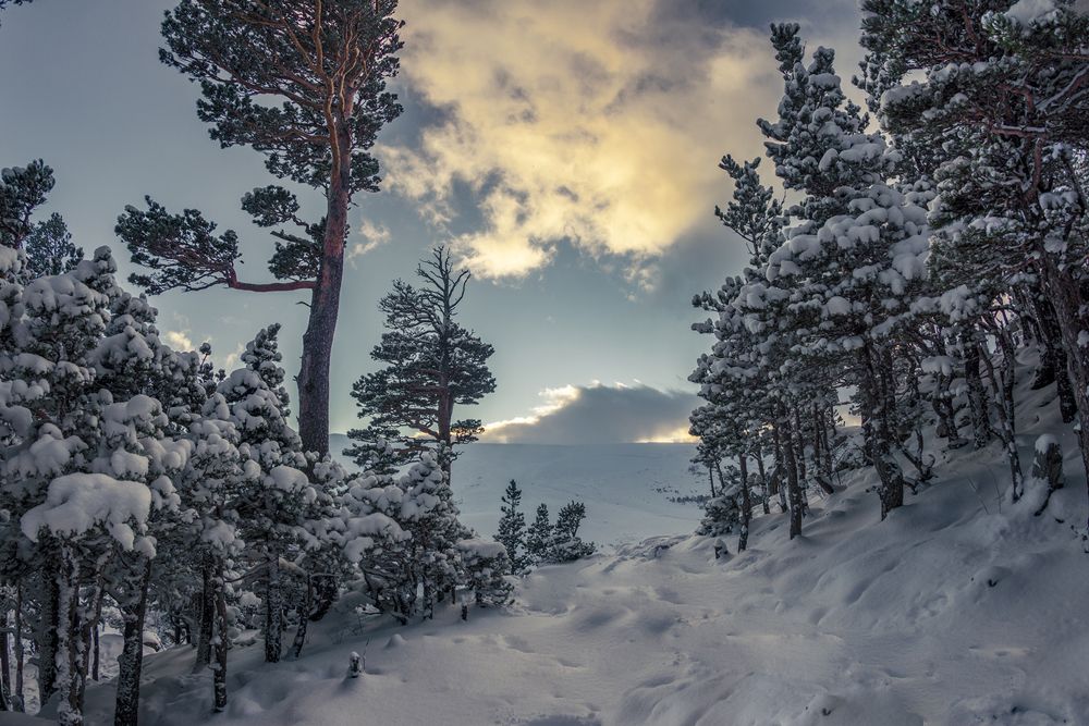 Photograph by Anatoly