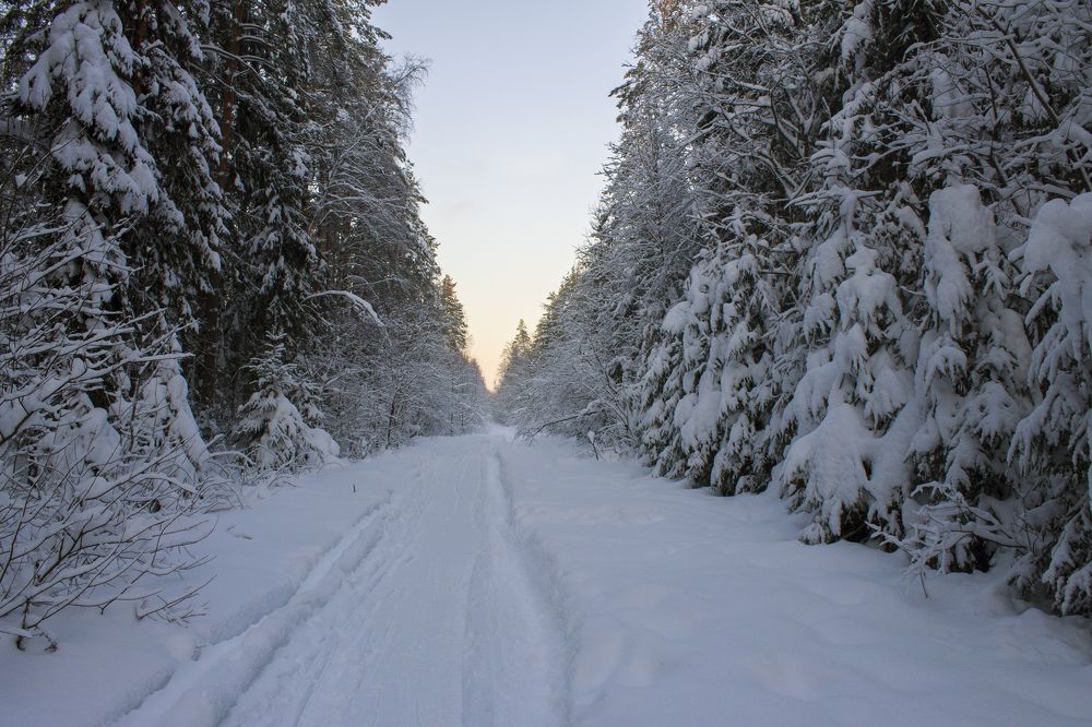 Photograph by Вячеслав Булатов