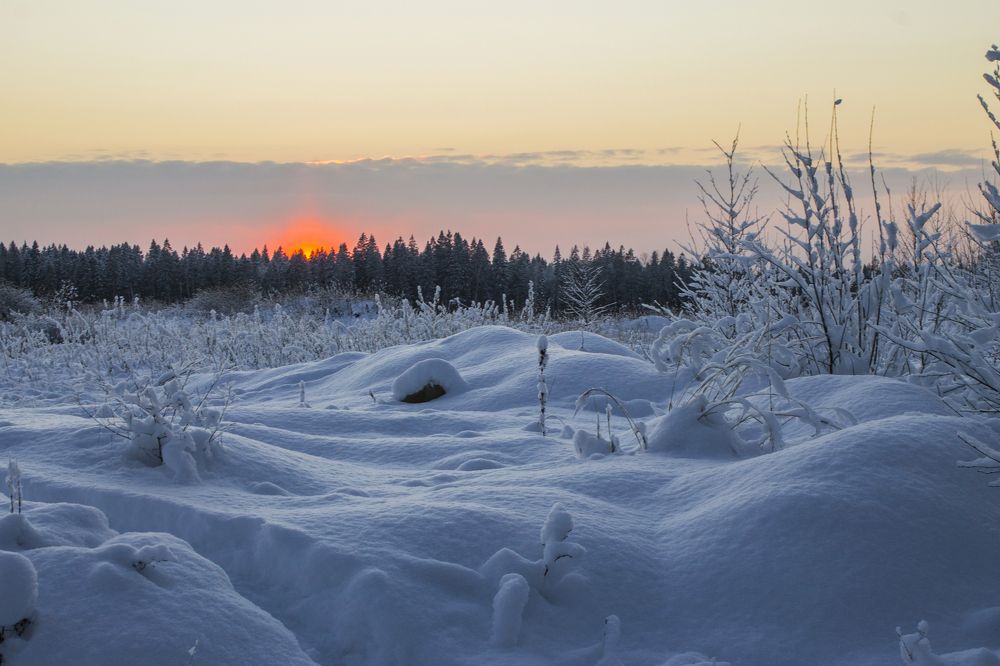 Photograph by Вячеслав Булатов
