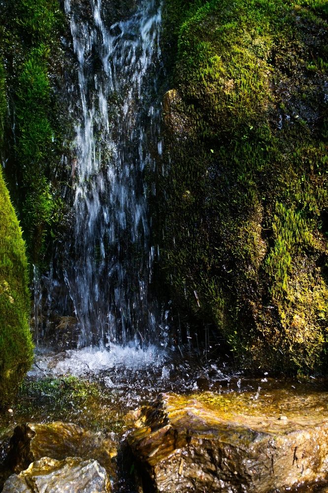 Photograph by Вера Васютина