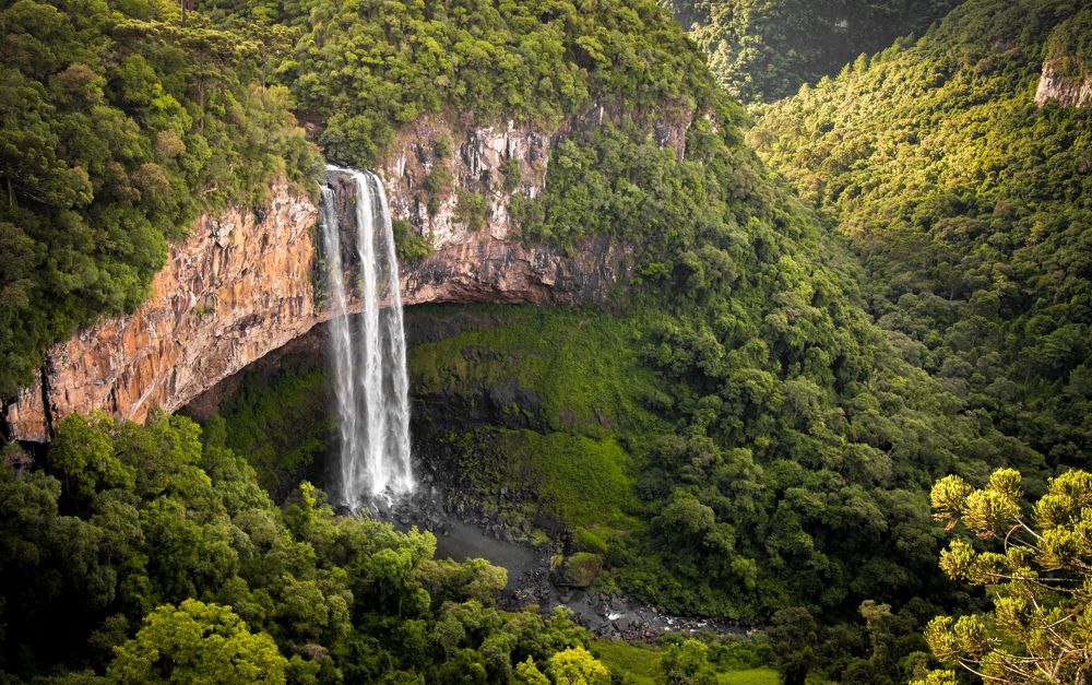 Photograph by Jean Cursino