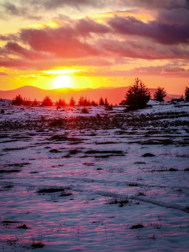 Photograph by Abderahim Salhi