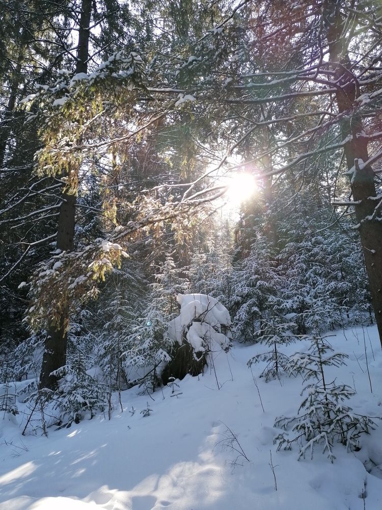 Photograph by Галина