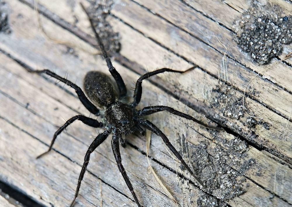 Photograph by Игорь Носков (Домненко)