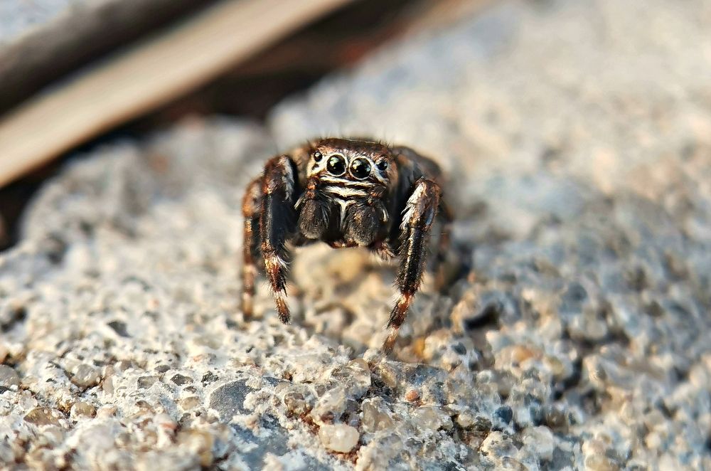 Photograph by Игорь Носков (Домненко)