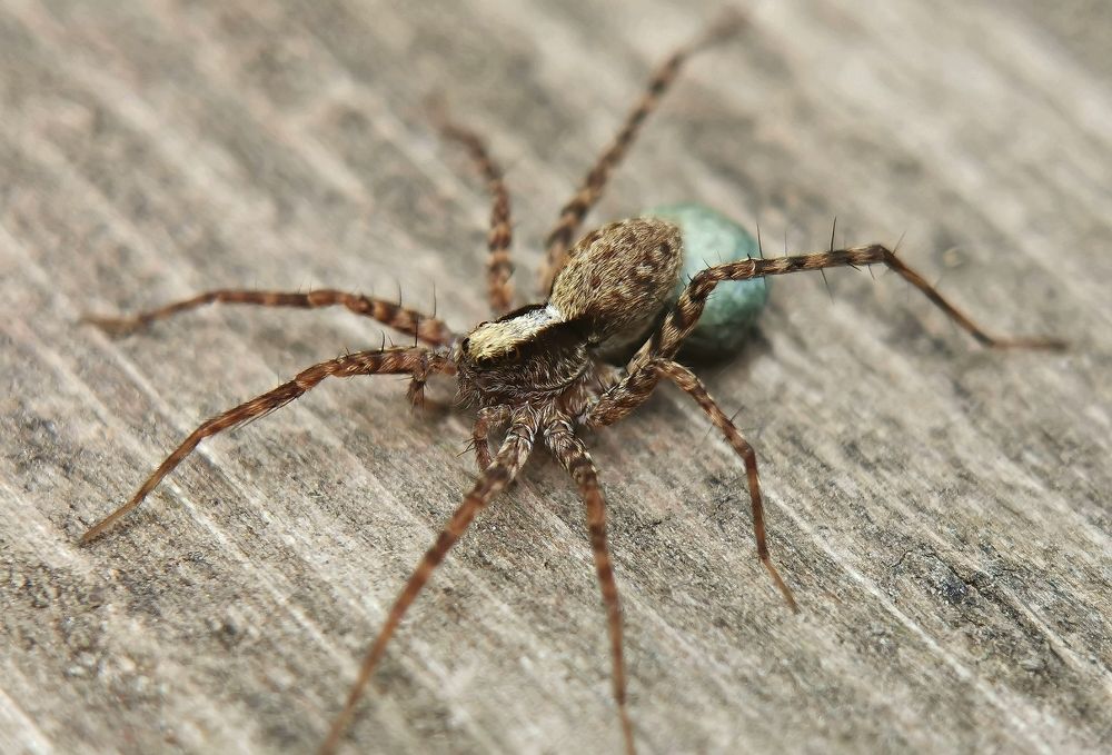 Photograph by Игорь Носков (Домненко)