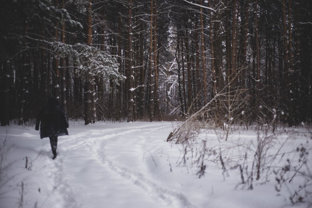 Photograph by Светлана Антипова