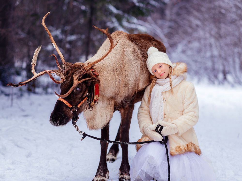 Photograph by Катя Барбус