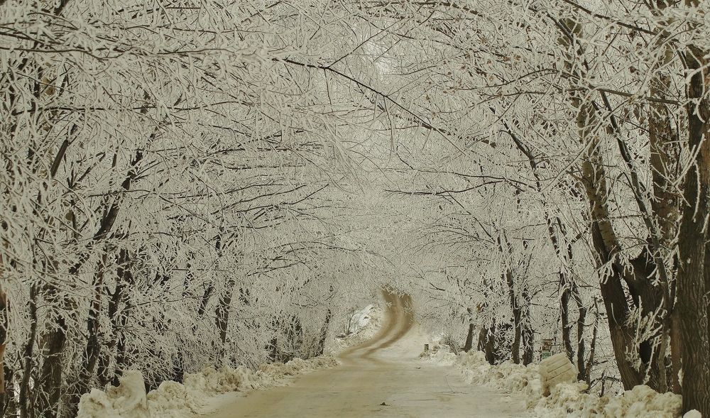 Photograph by Александр Попов