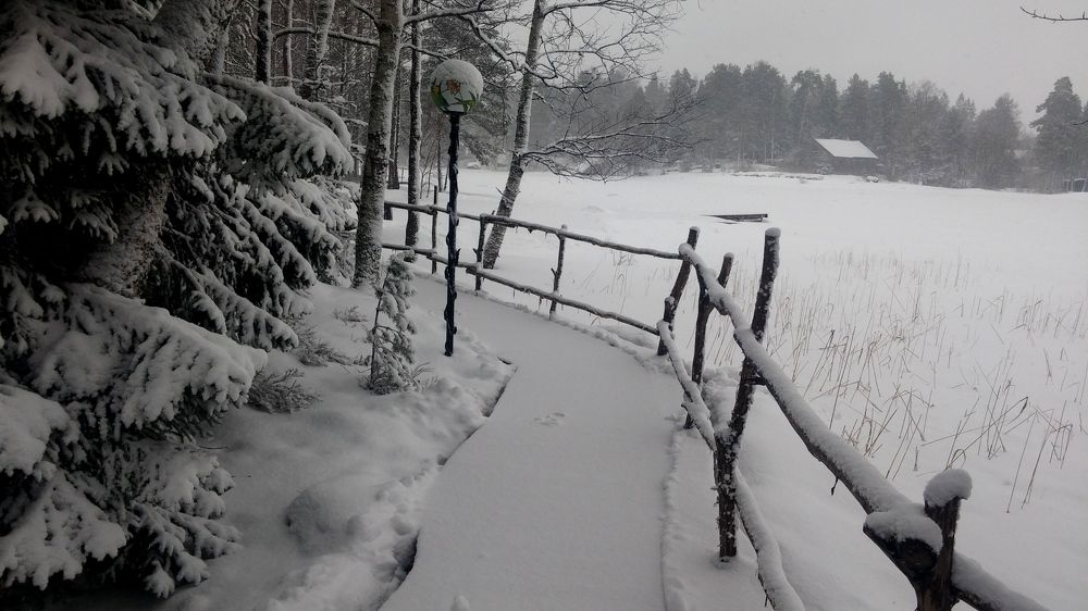 Photo #7050345