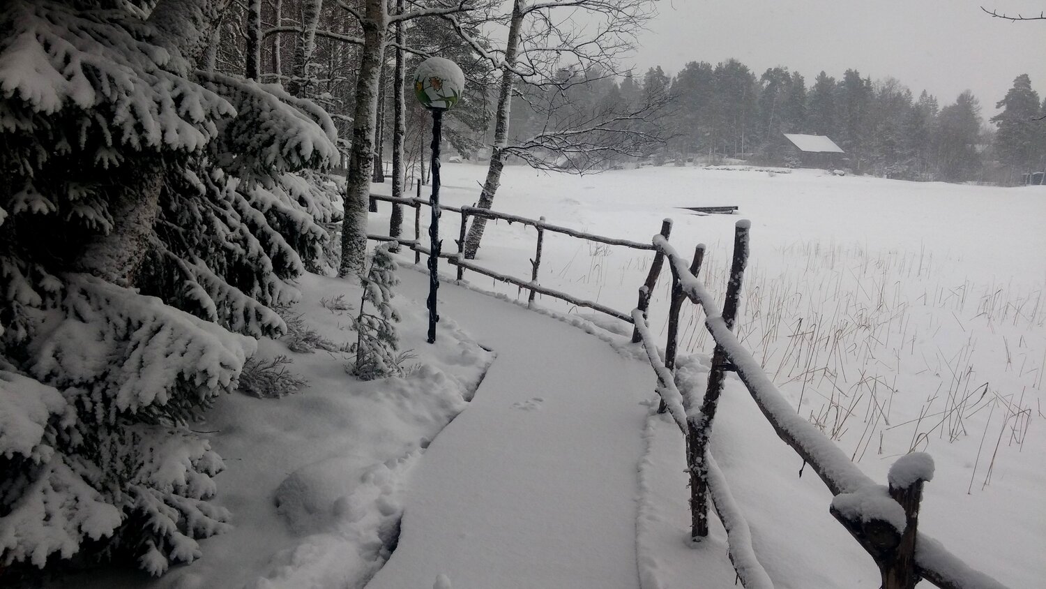Photo #7050345