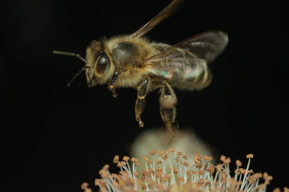 Photograph by Денис Ветренко