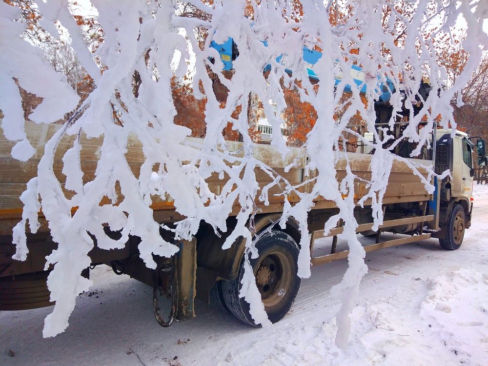 Коммунальная сказка