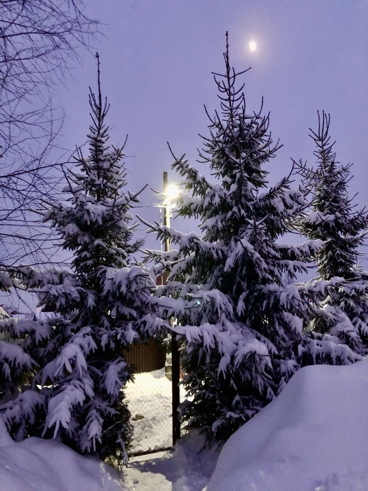 Зимний вечер