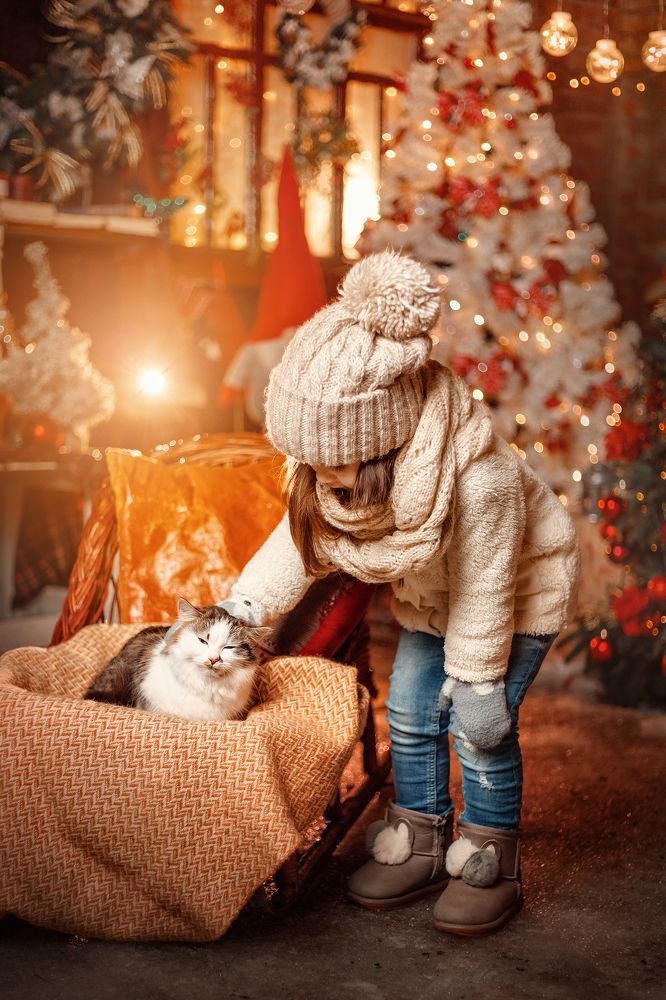 Фотография автора Валентина Балышева