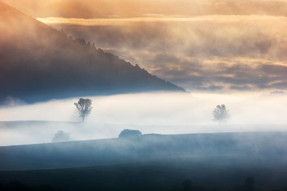 Mystery of Landscape X