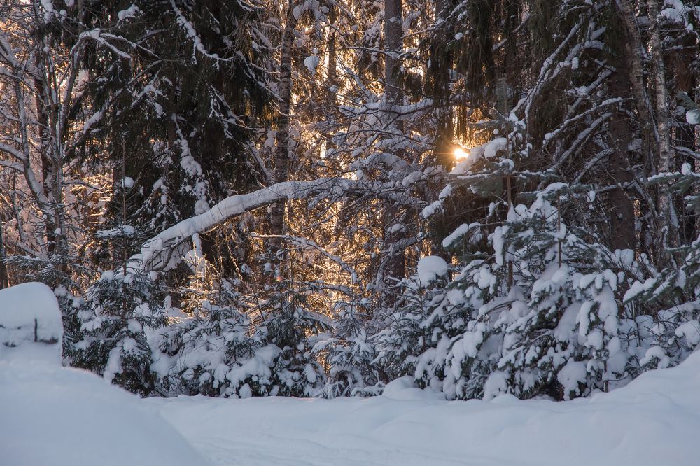 Photograph by Инна Юдина