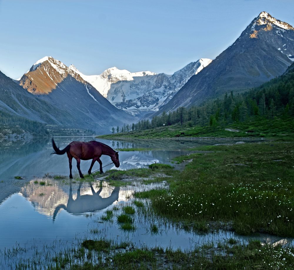 Photograph by Светлана Крат