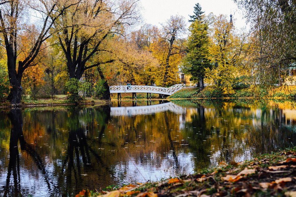 Photograph by Светлана Антипова