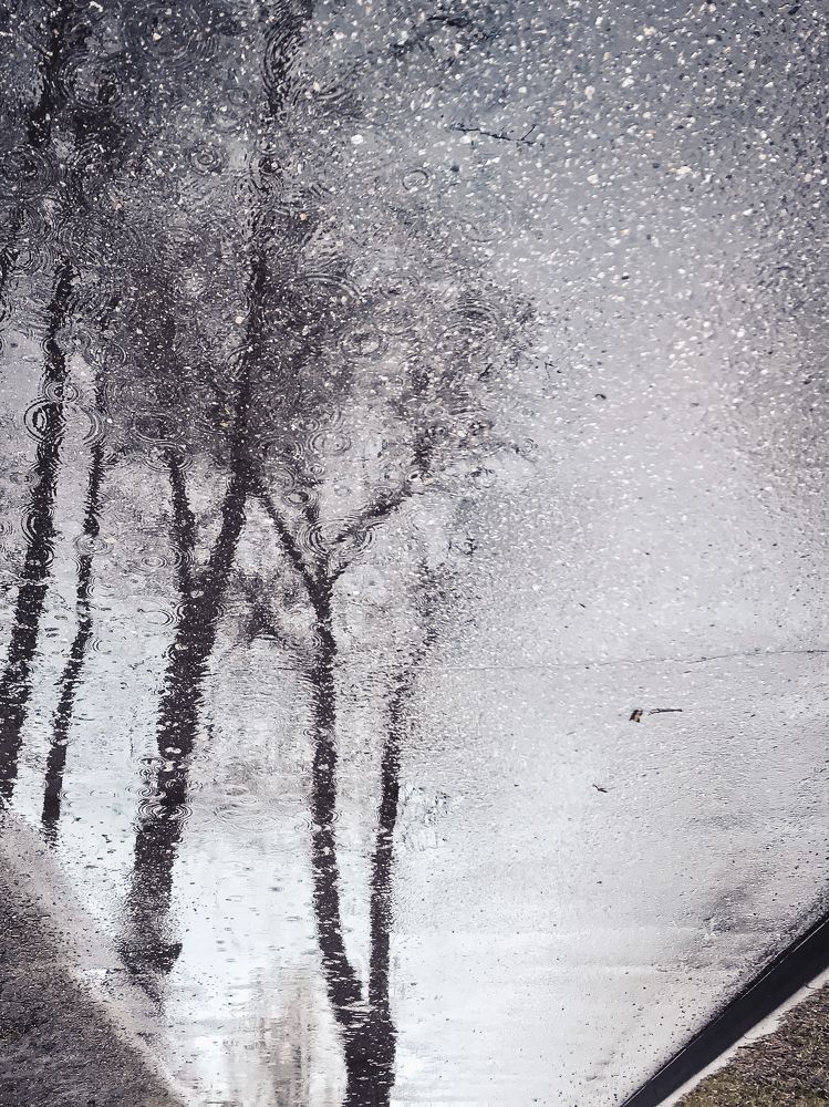 Photograph by Юра Мокрицкий