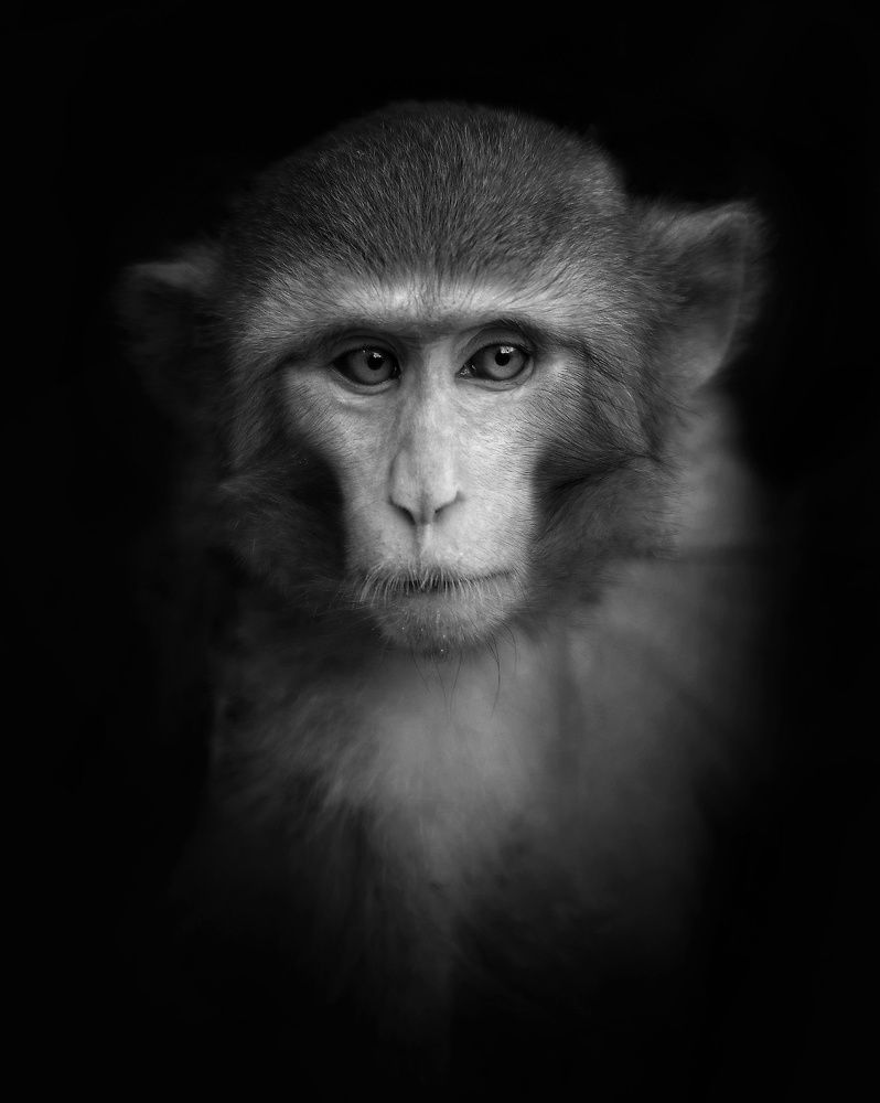 Photograph by Wesam hm Alrufaie