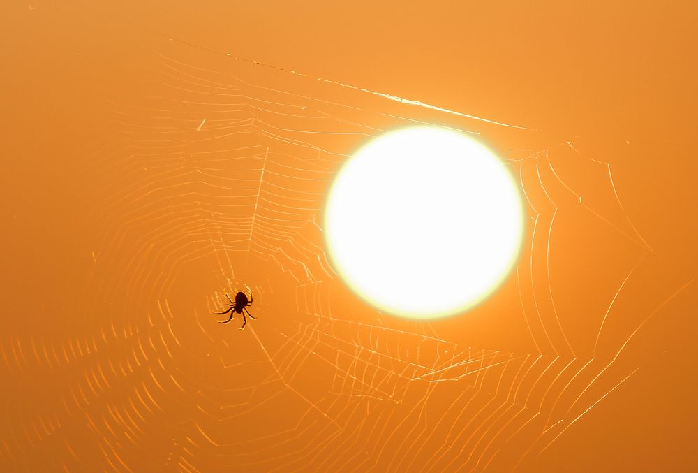 Photograph by Виктор Сёмушкин