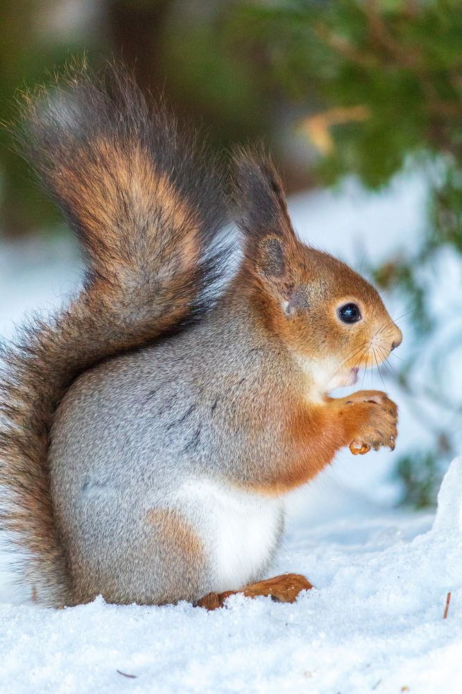 Photograph by Дмитрий