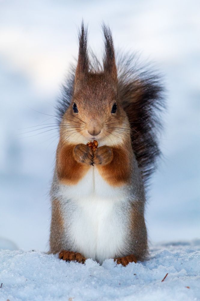 Photograph by Дмитрий