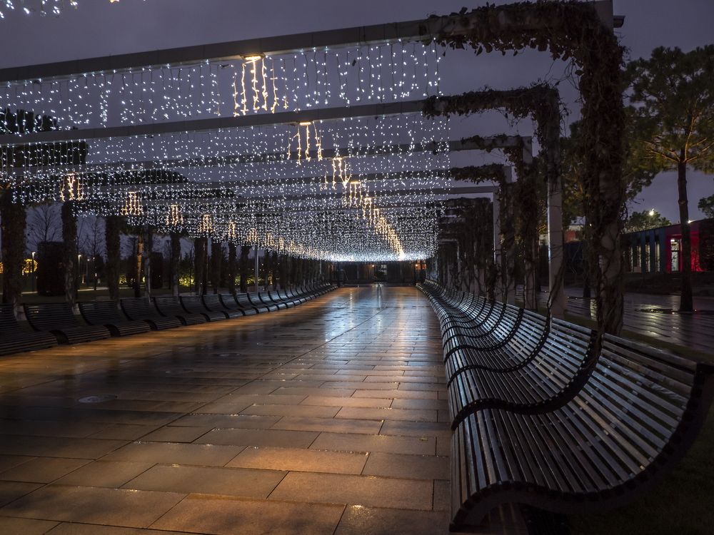 Photograph by Галина Михоношина