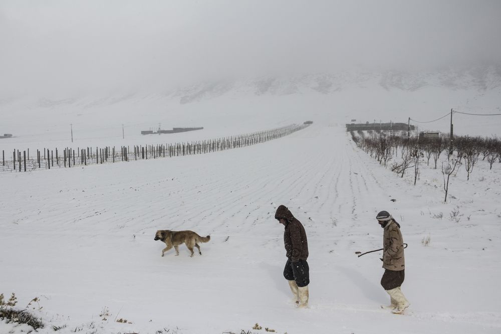 Photograph by amin Sharafiani