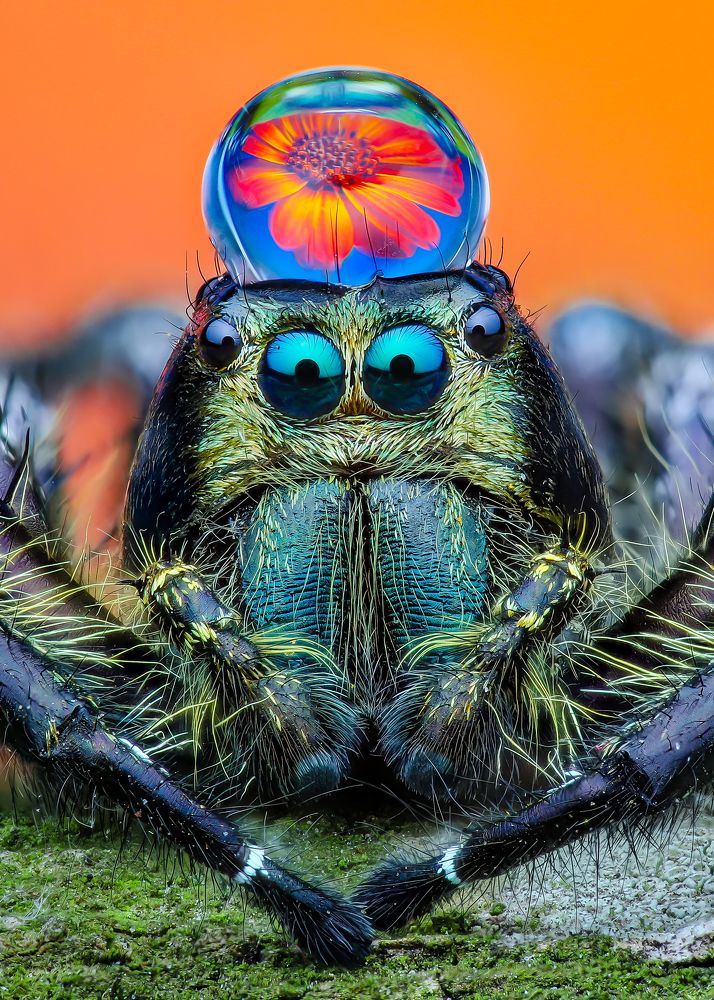 Photograph by Ngọc Trần