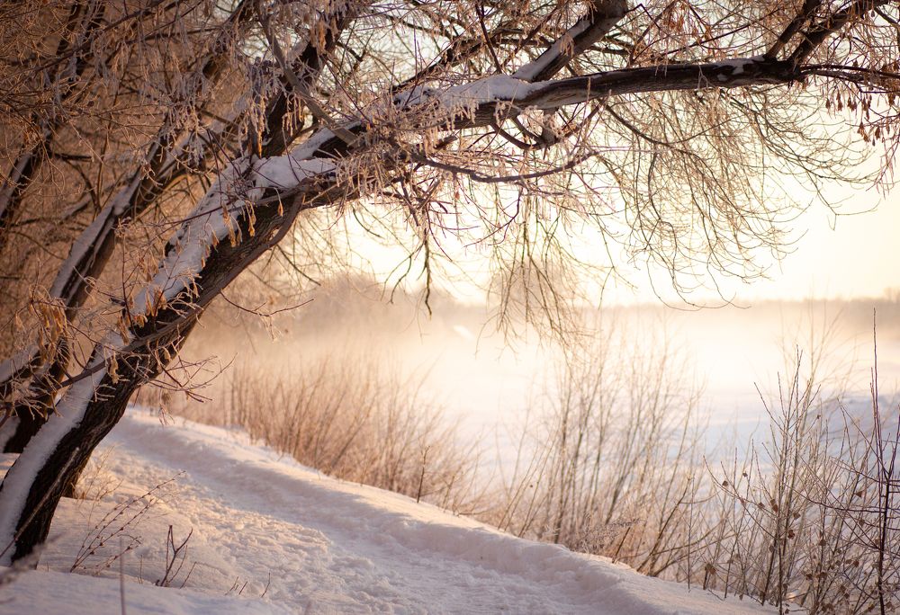 Photograph by Ирина Лаврова