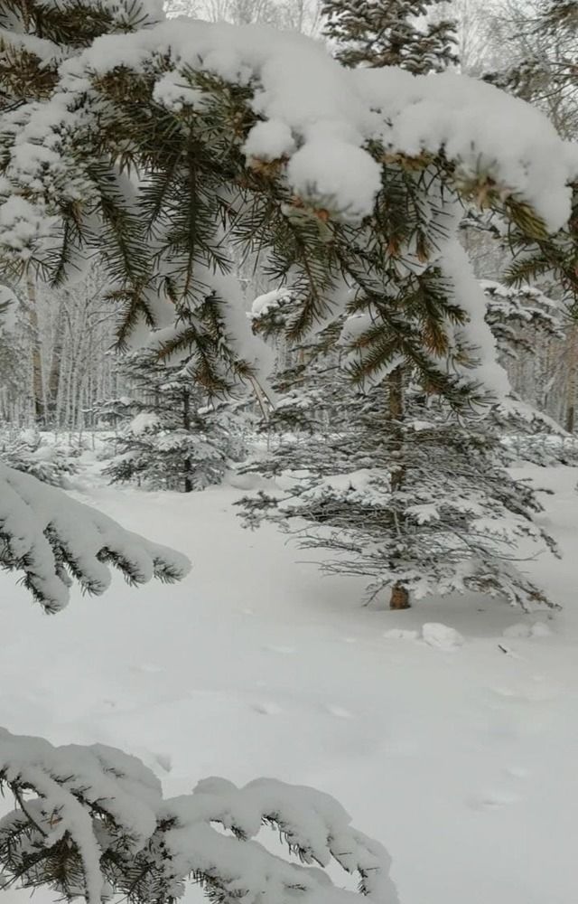 Photograph by Наталья Круглова