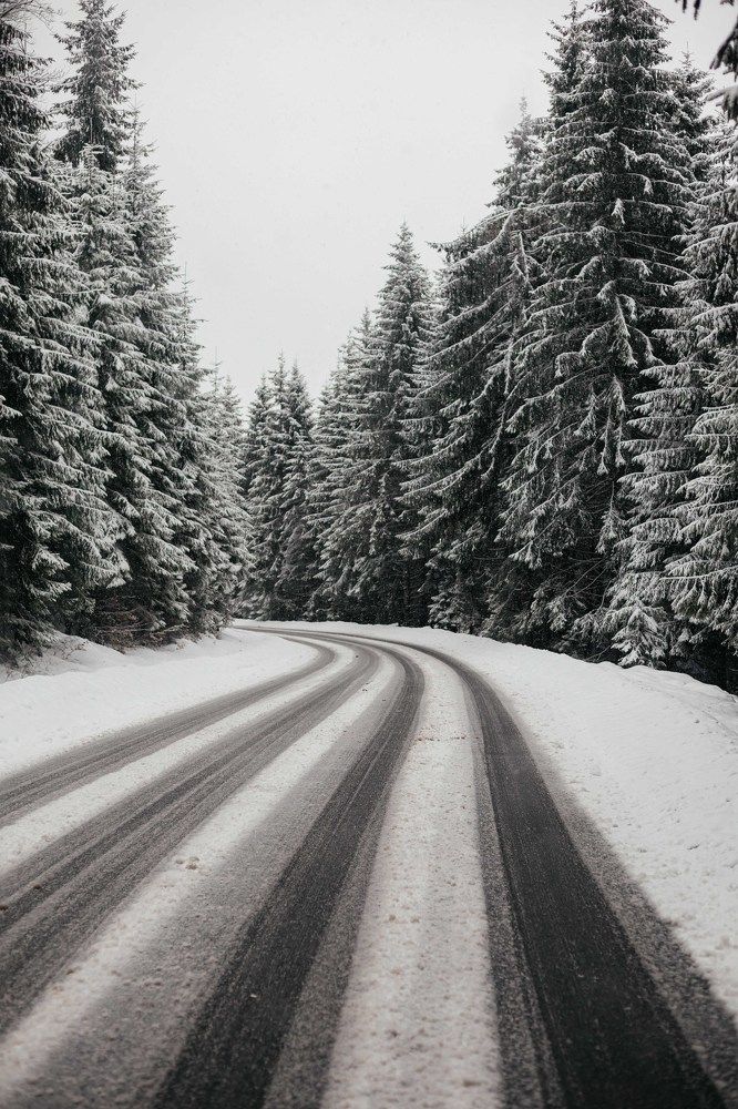 Photograph by Alexander Vasylenko