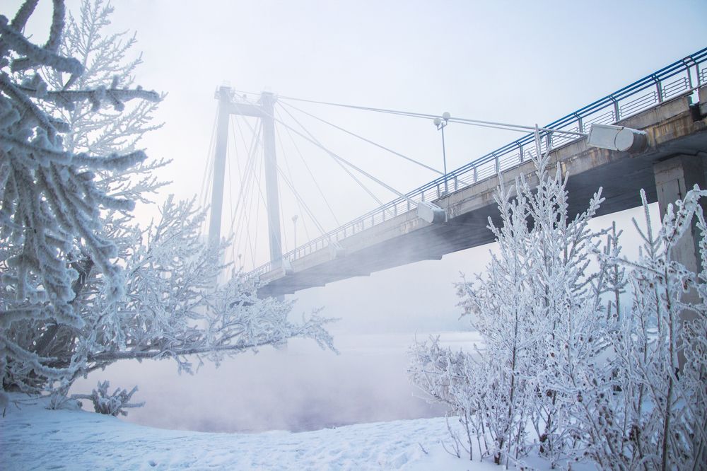 Фотография автора Регина Крикунова