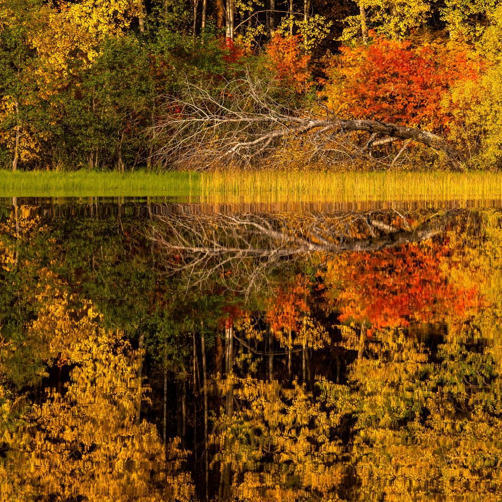 Фотография автора Журавлев Александр
